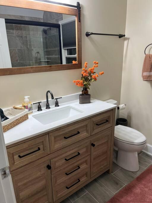 Helen, Ga Bear Paw Haus Villa Ngoại thất bức ảnh